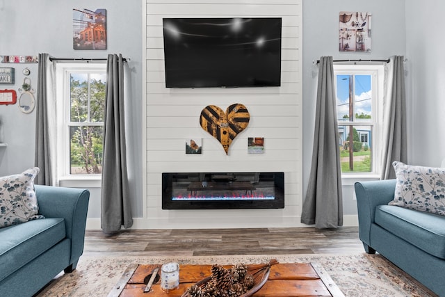 living room with a wealth of natural light and hardwood / wood-style flooring