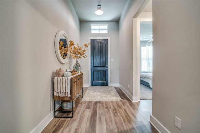 foyer entrance featuring a wealth of natural light and light wood-type flooring