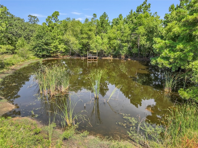 property view of water