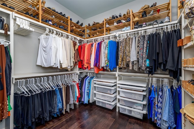 spacious closet featuring dark hardwood / wood-style floors