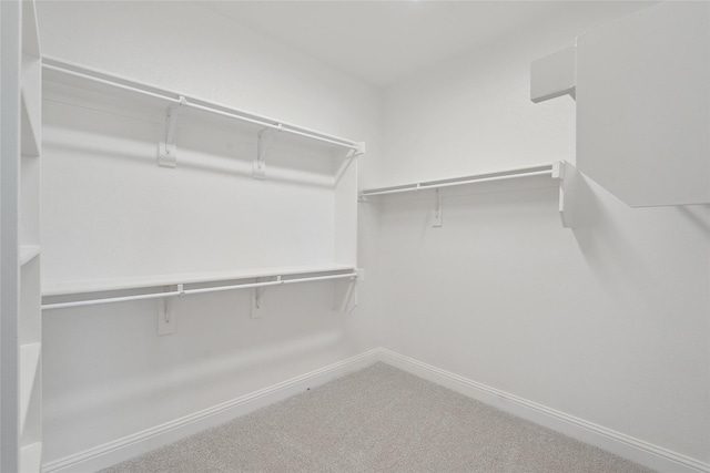 walk in closet featuring carpet flooring