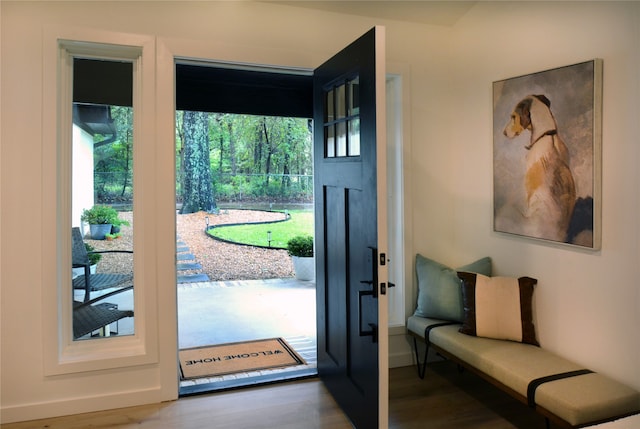 doorway to outside featuring hardwood / wood-style flooring