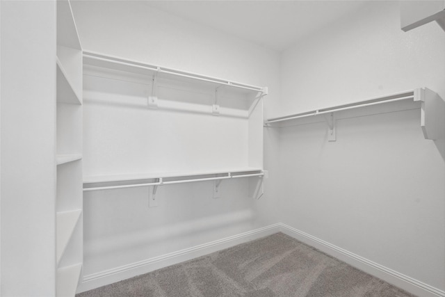 2805 Spring Valley Dr, Anna, TX 75409 - spacious closet featuring carpet floors