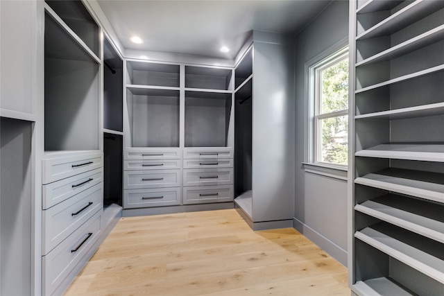 spacious closet with light wood-type flooring