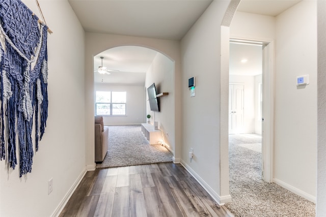 hallway featuring wood-type flooring