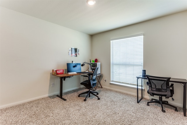 office featuring light colored carpet