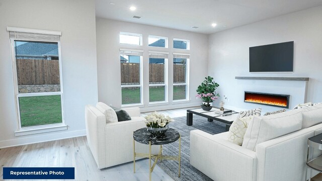 living room featuring light hardwood / wood-style floors