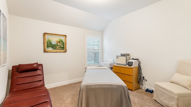 carpeted bedroom with lofted ceiling