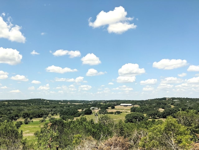 Listing photo 2 for 1060 Bluegill Rdg, Bluff Dale TX 76433