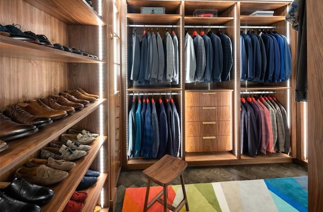 spacious closet featuring dark wood-type flooring