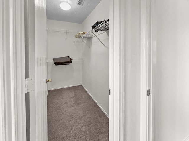 walk in closet featuring carpet