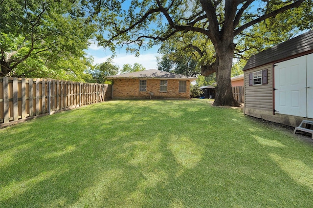 view of yard with a shed