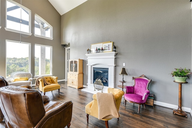 living room with dark hardwood / wood-style floors and high vaulted ceiling