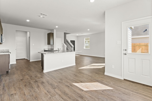 kitchen featuring sink, dark wood-type flooring, and a wealth of natural light