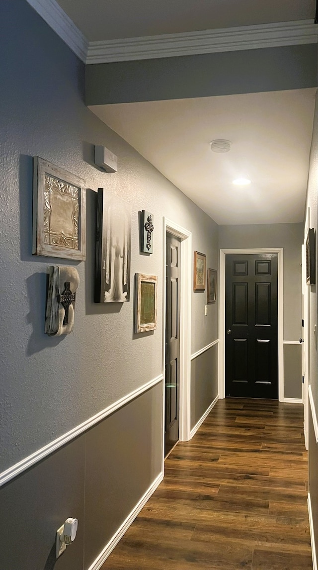 corridor featuring crown molding and dark hardwood / wood-style flooring