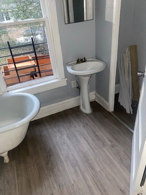 bathroom with hardwood / wood-style floors