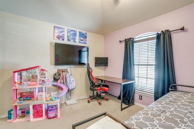 bedroom with carpet flooring