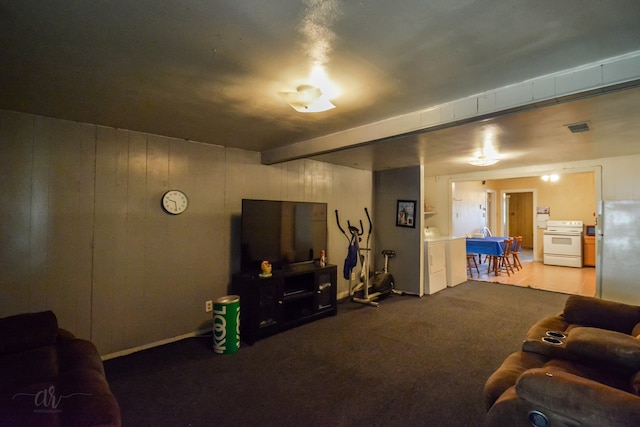 living room with washer / dryer and carpet floors