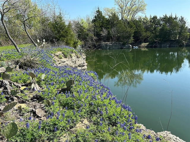 water view