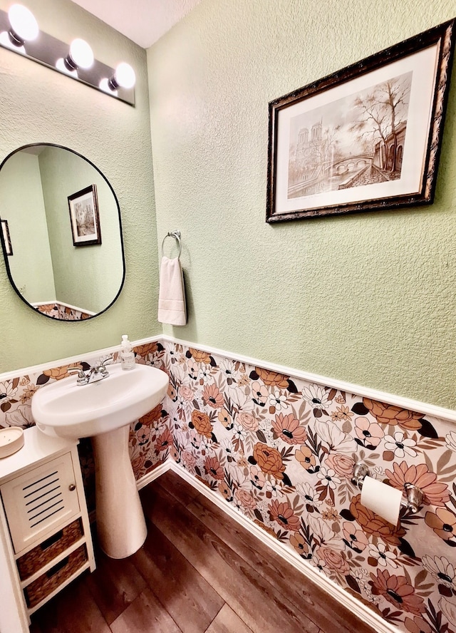 bathroom with hardwood / wood-style floors