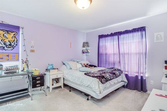 bedroom featuring carpet