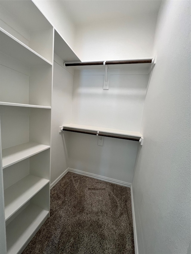 spacious closet featuring carpet floors