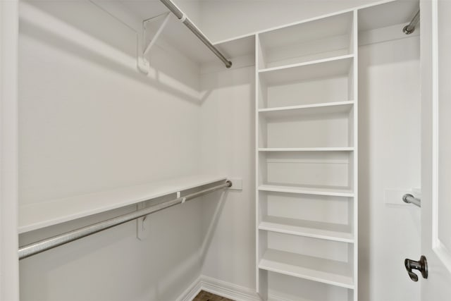 view of walk in closet