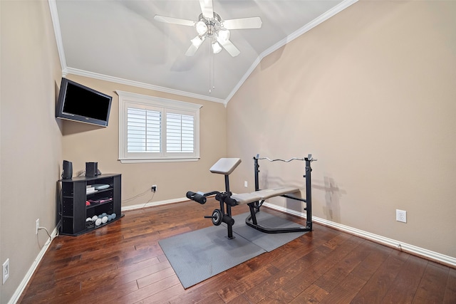 workout room featuring ceiling fan, ornamental molding, and dark wood-type flooring