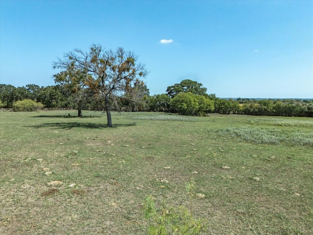 view of yard featuring a rural view