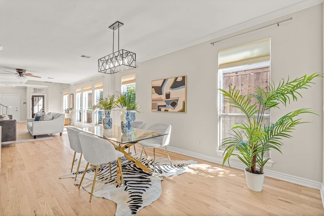 dining area with ceiling fan, crown molding, and light hardwood / wood-style floors