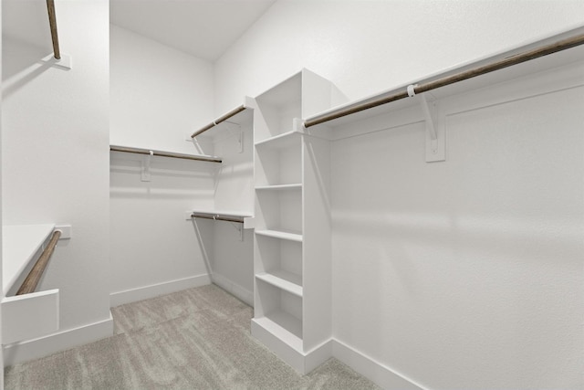 spacious closet featuring light colored carpet