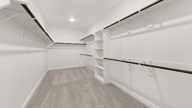 walk in closet with light carpet