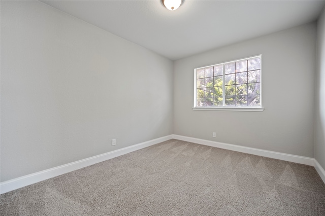 spare room with carpet flooring