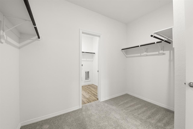 spacious closet featuring light colored carpet