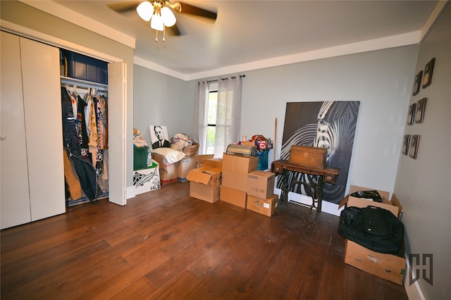 miscellaneous room featuring ceiling fan and dark hardwood / wood-style flooring