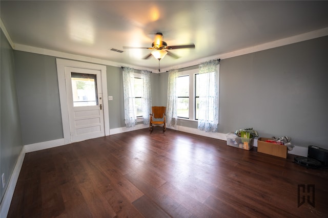 interior space with ceiling fan, dark hardwood / wood-style flooring, and a wealth of natural light