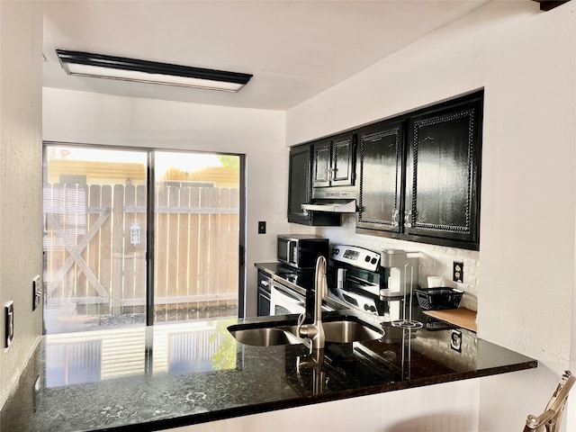 kitchen with dark stone counters, a healthy amount of sunlight, and sink