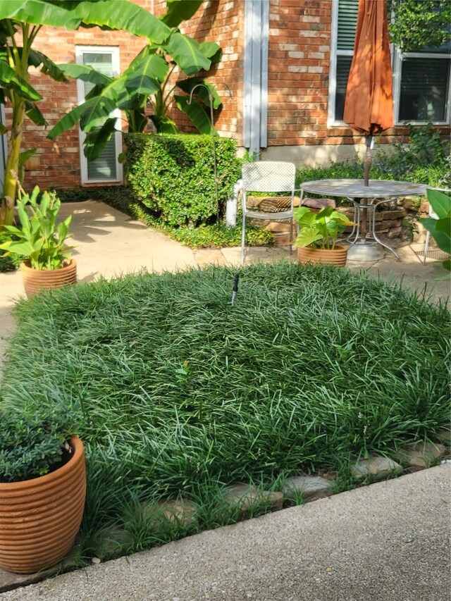 view of yard with a patio