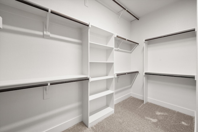 walk in closet with light colored carpet