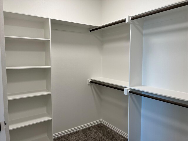 102 Levi Dr, Cleburne, TX 76031 - spacious closet with dark carpet
