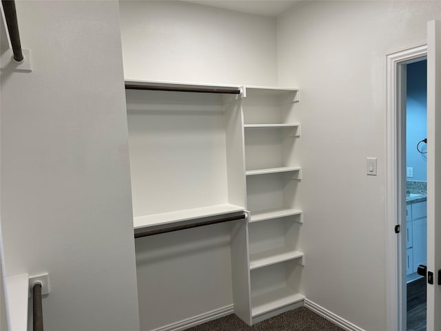 102 Levi Dr, Cleburne, TX 76031 - view of walk in closet
