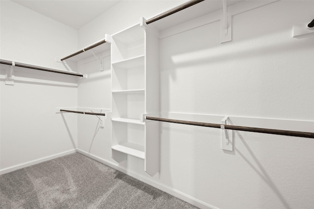 spacious closet with carpet flooring