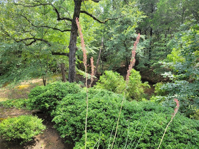 view of landscape