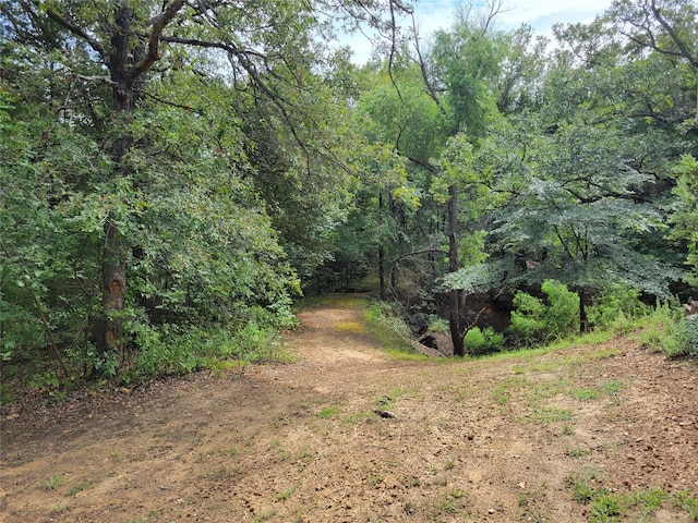 view of local wilderness