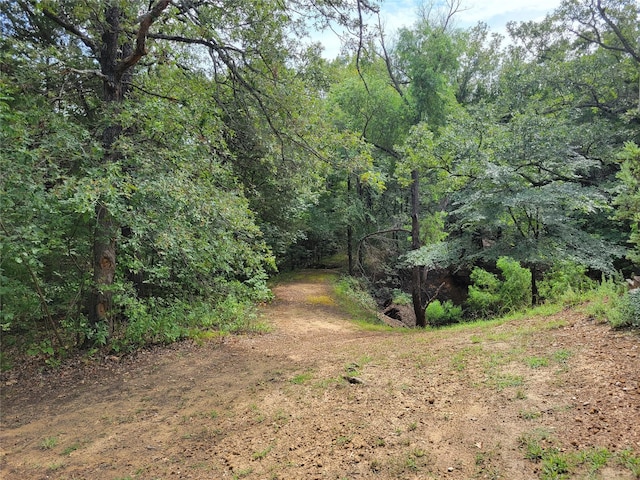 view of nature featuring a view of trees