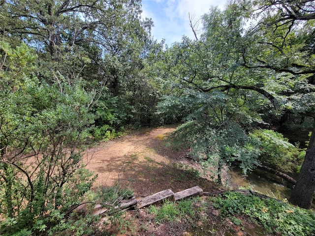 view of local wilderness