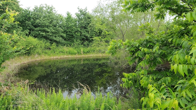 view of landscape with a water view