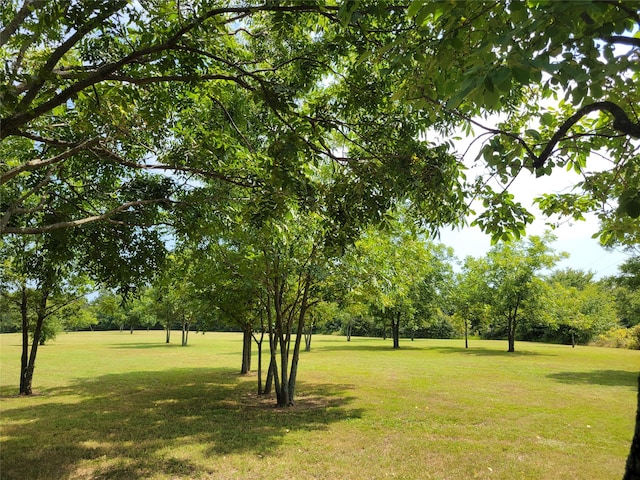 view of property's community featuring a lawn