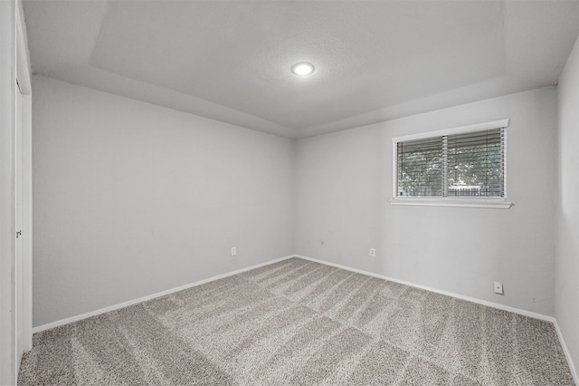 empty room with carpet and a textured ceiling