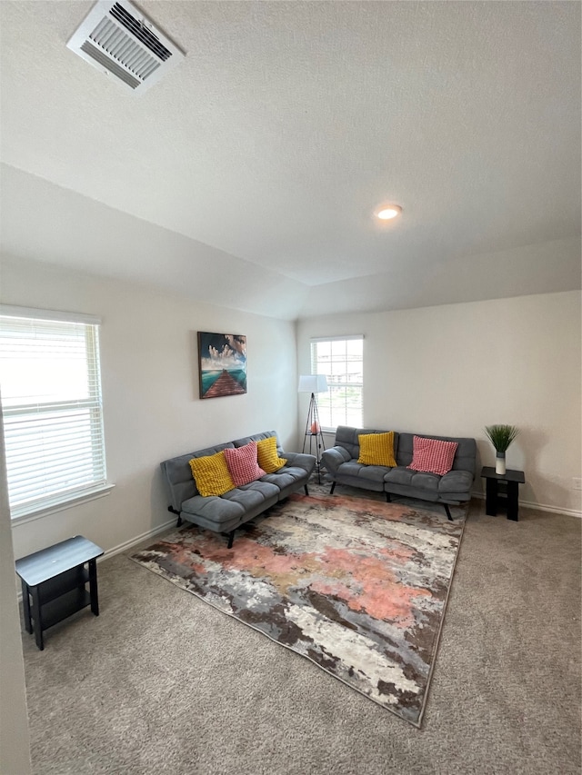 carpeted living room with a textured ceiling